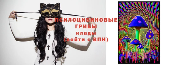 а пвп мука Инта