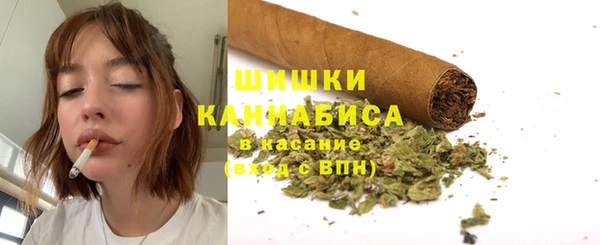 эйфоретик Инсар
