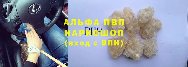 эйфоретик Инсар