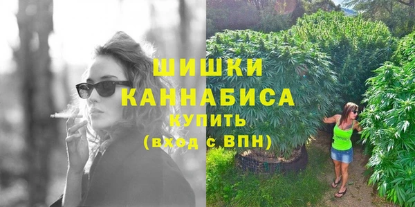 эйфоретик Инсар