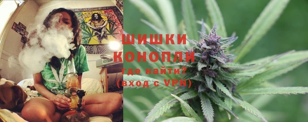 эйфоретик Инсар